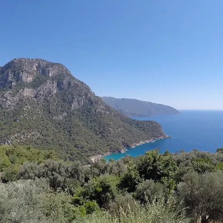 Kabak Mamma's (adults Only) Faralya